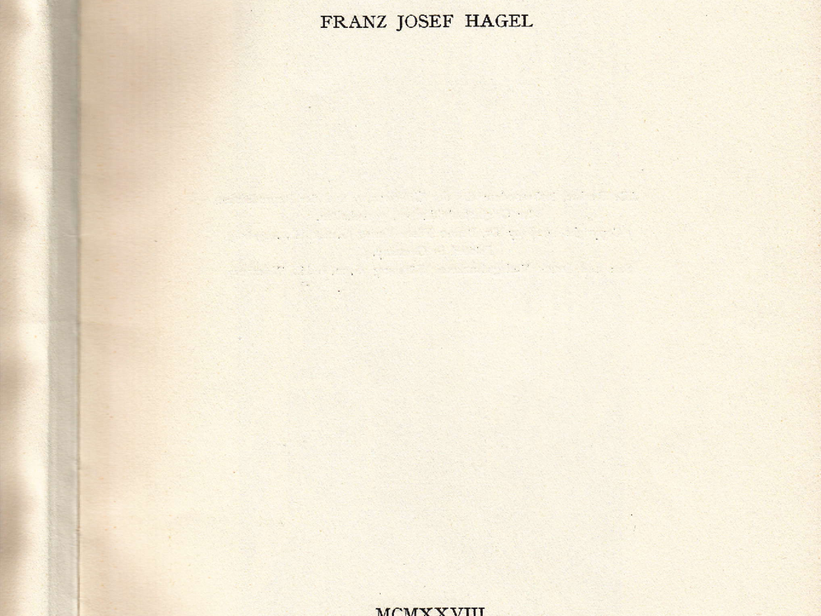 2025-03-07_13-10-04-klosterelchingen_hagel